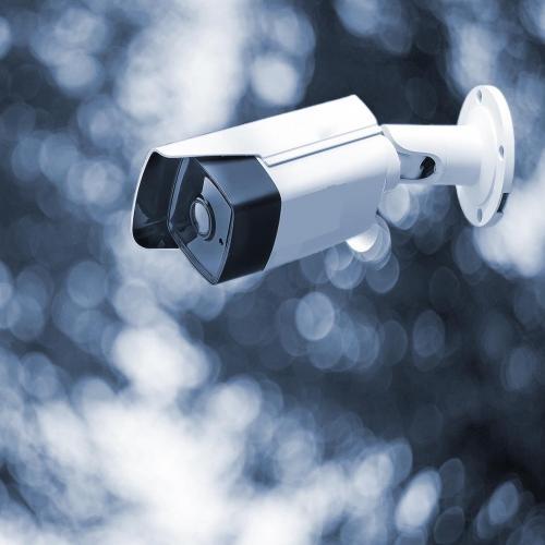 Vidéo surveillance, Magnetovox SA